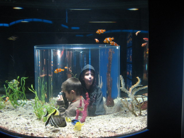 20081210_6014.jpg