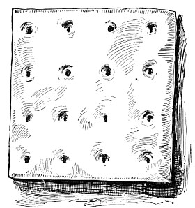 hardtack.jpg
